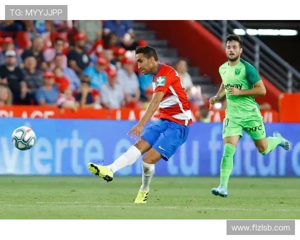 莱加内斯俱乐部:西班牙足球的黑马崛起与未来发展潜力分析 莱加内斯俱乐部:西班牙足球的黑马崛起与未来发展潜力分析
