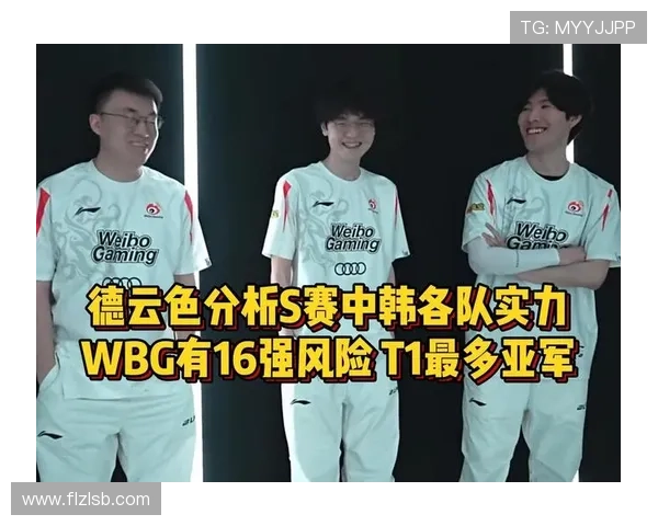 WBG战队成员实力解析 聚焦英雄联盟职业赛场中的顶尖选手与战术布局
