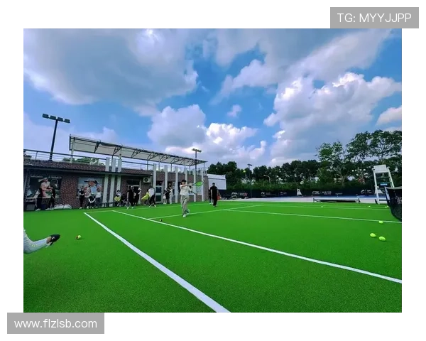 什么是S球网球及其在现代网球运动中的应用与发展解析 什么是S球网球及其在现代网球运动中的应用与发展解析