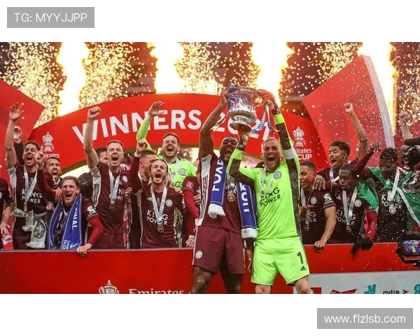 水晶宫俱乐部在英超赛季中的表现分析与未来发展展望