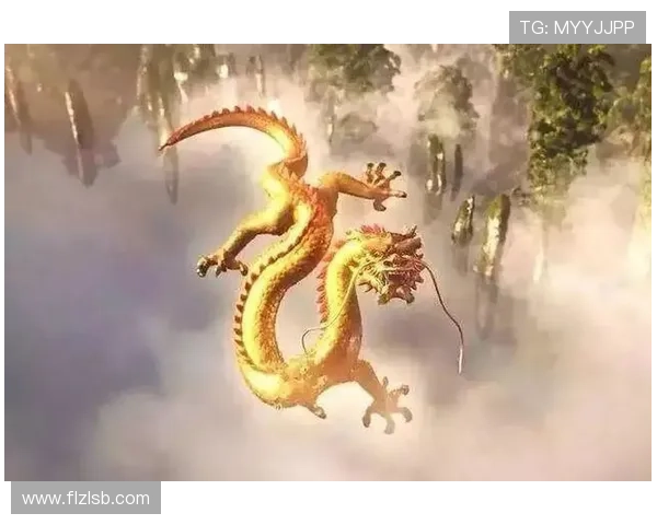 聚焦drb冠军荣耀时刻探寻巅峰背后的努力与不屈精神